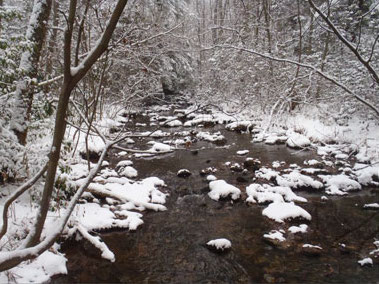 Stream in winter