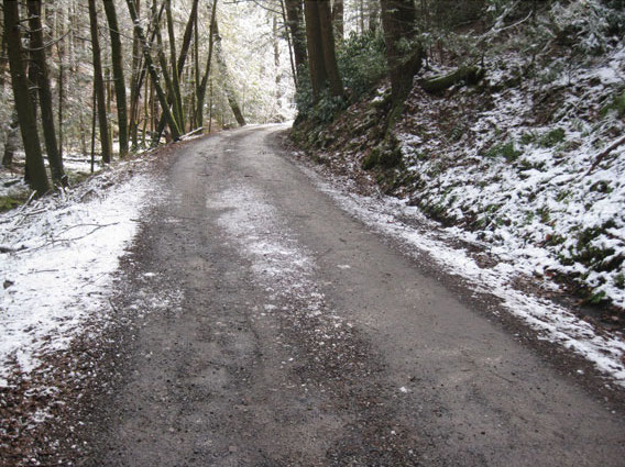 Dirt and Gravel Road