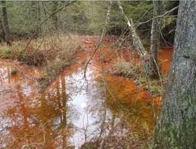 Acid Mine Drainage Treatment pond