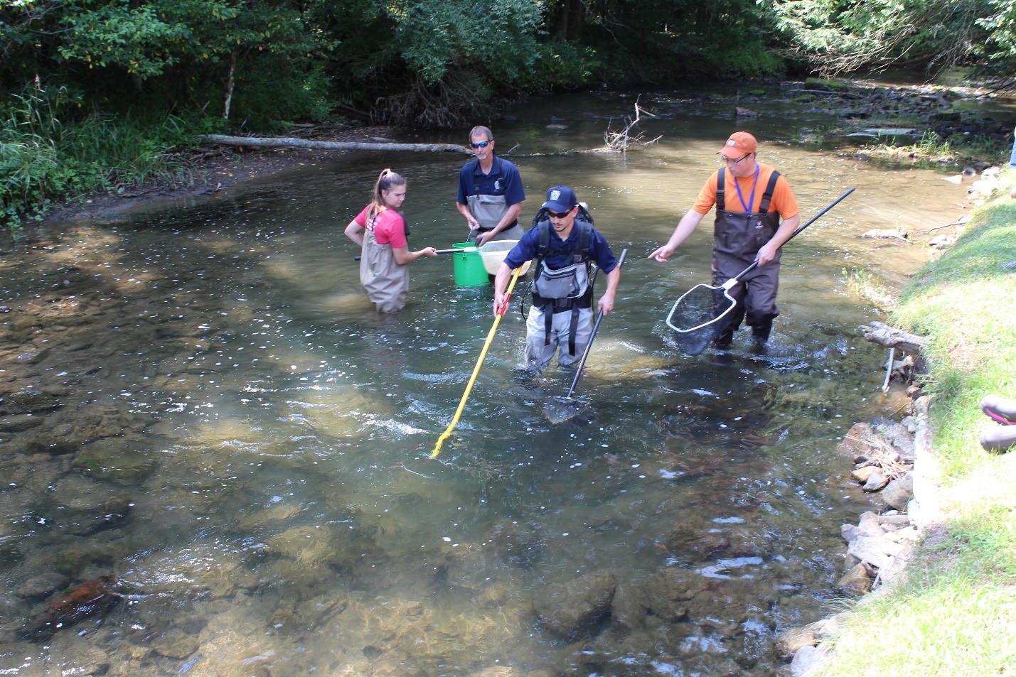 Electrofishing